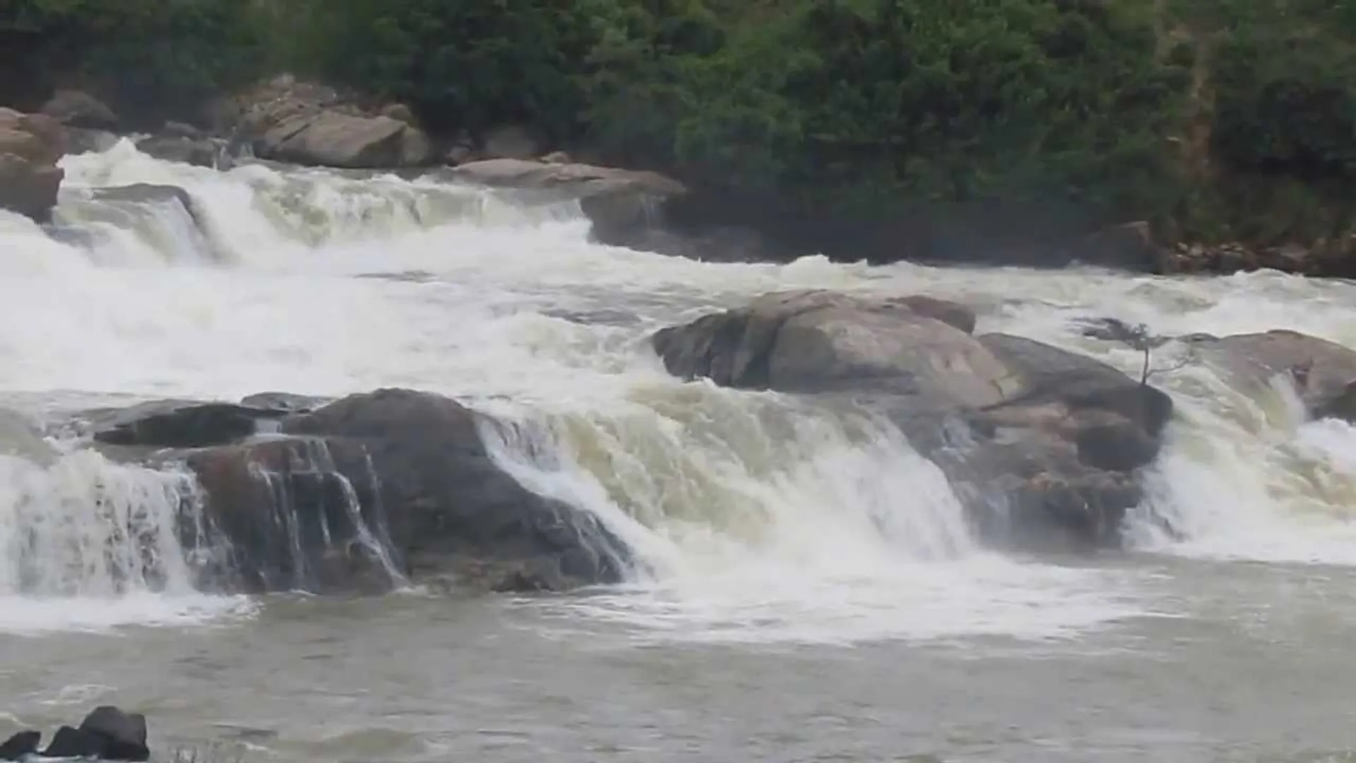 kaveri